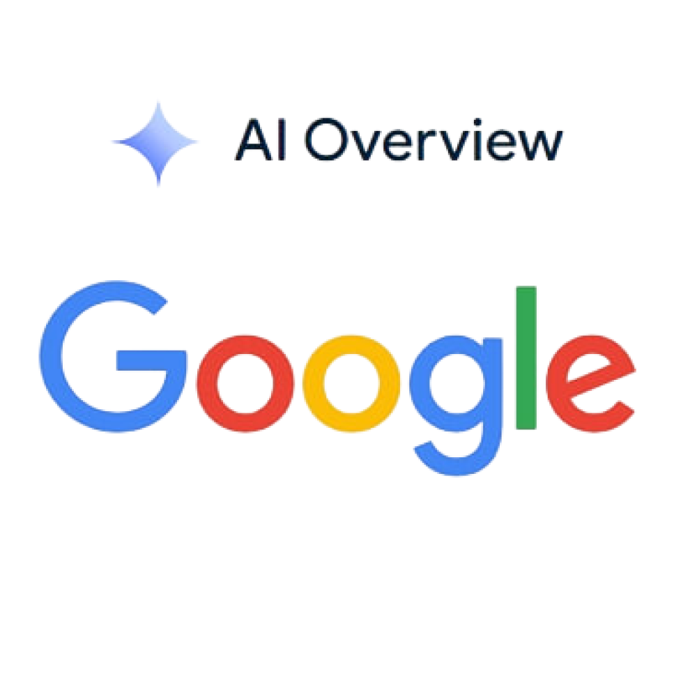 Google AI Overviews garsora seo